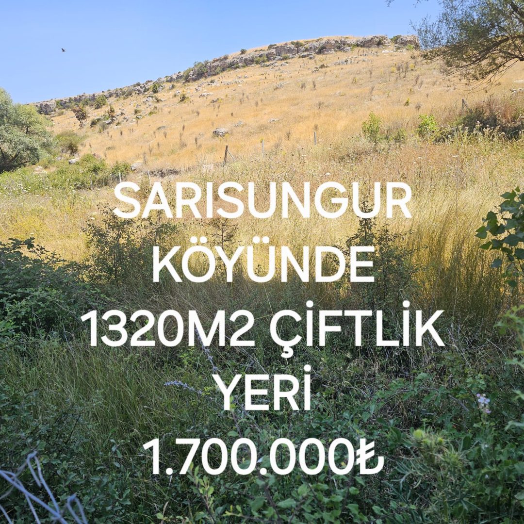 SARISUNGURDA ÇİFLİK YERİNE UYGUN ARSA